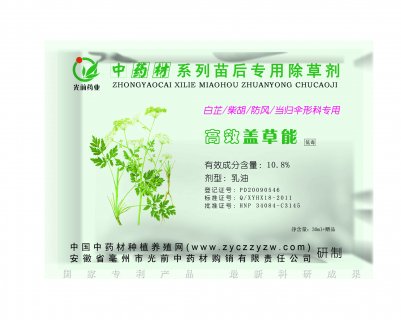 白芷（川芎 北沙参）苗后专用除草剂