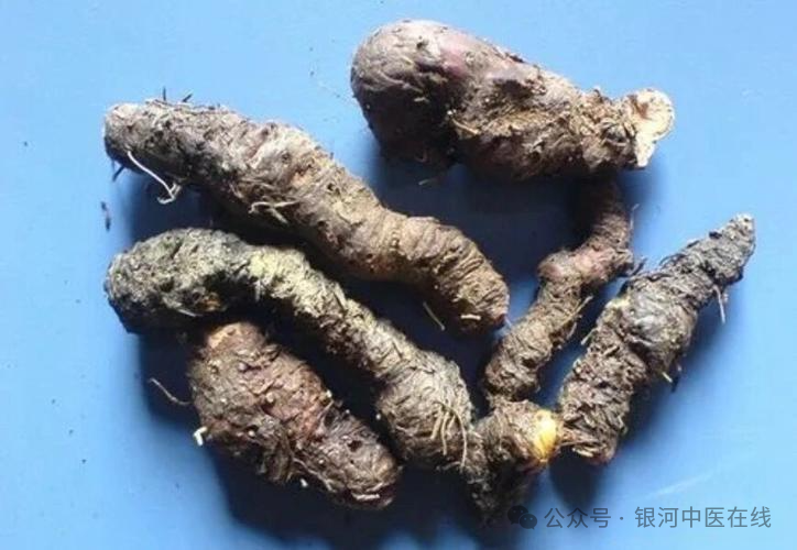 抗腺癌名方（张士舜）