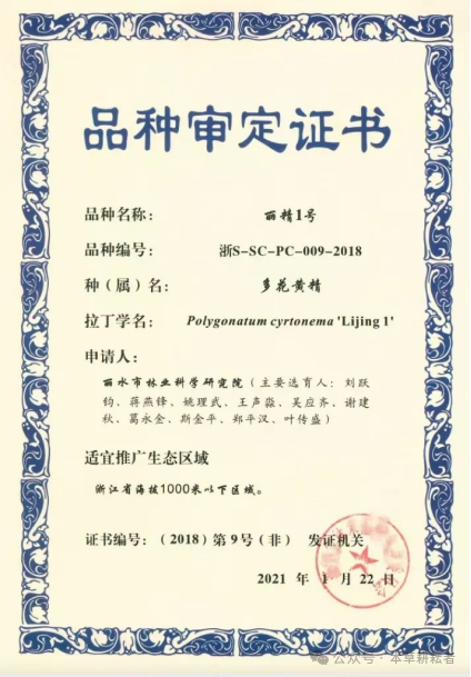 黄精品种选育现状分析