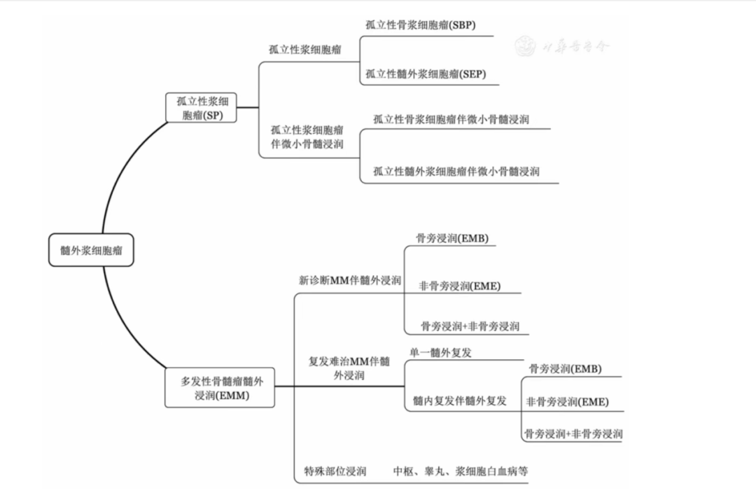CAR-T 治疗效果好的骨髓瘤患者都有哪些特征？