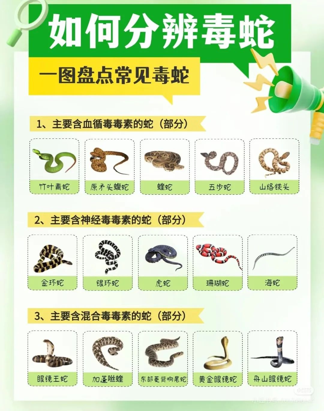 蛇咬伤救治（自救以及他救！！！）