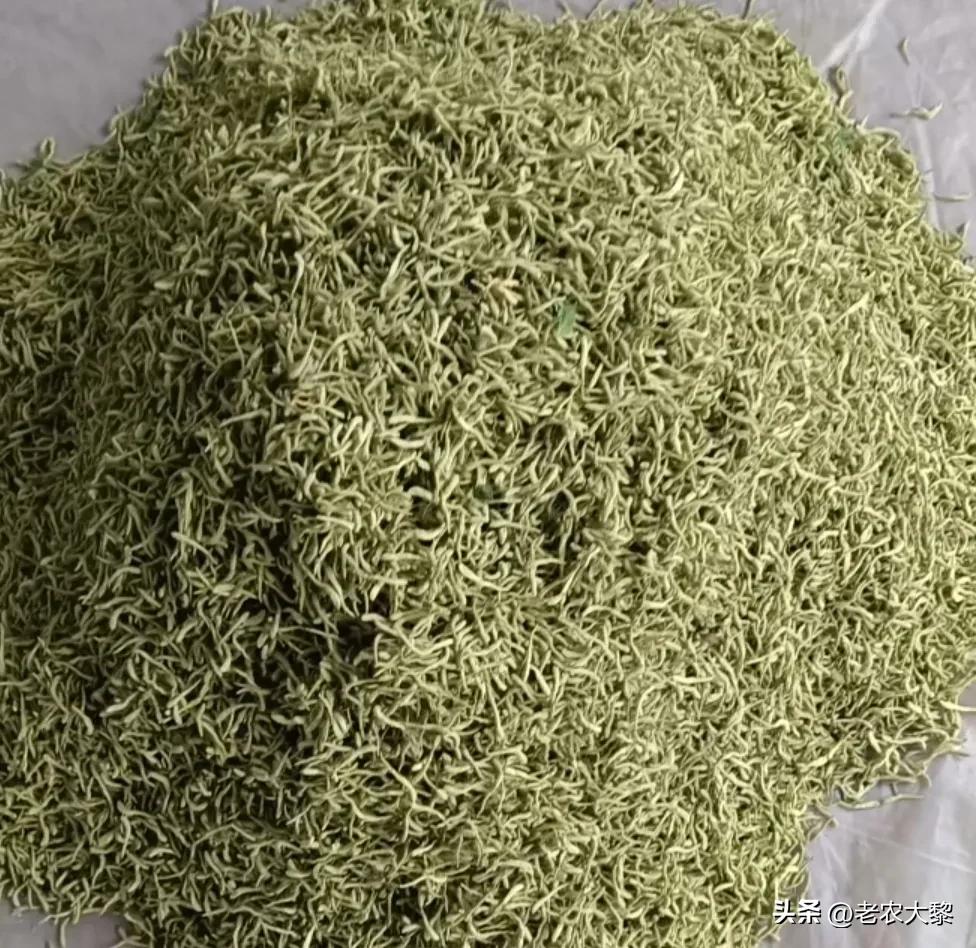 今年的金银花彻底烂市了！价格真让种植户心酸