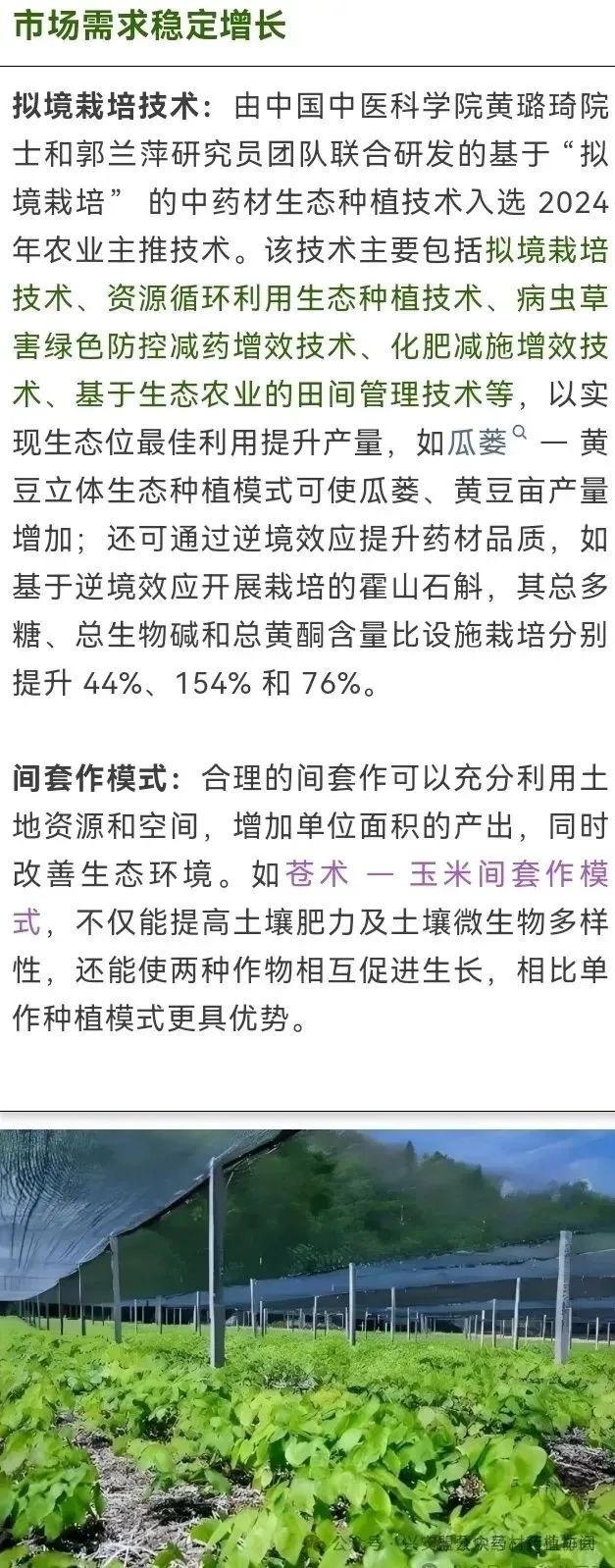 中药材种植新招式