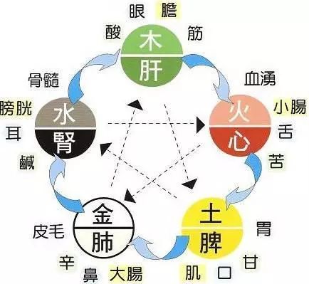 一味中药养五脏，孙思邈称常服它，心肝脾肺肾都养好