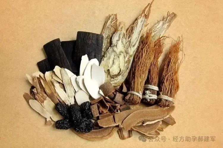 备孕总失败？老中医祖传 “助孕汤”，为你点亮生育希望