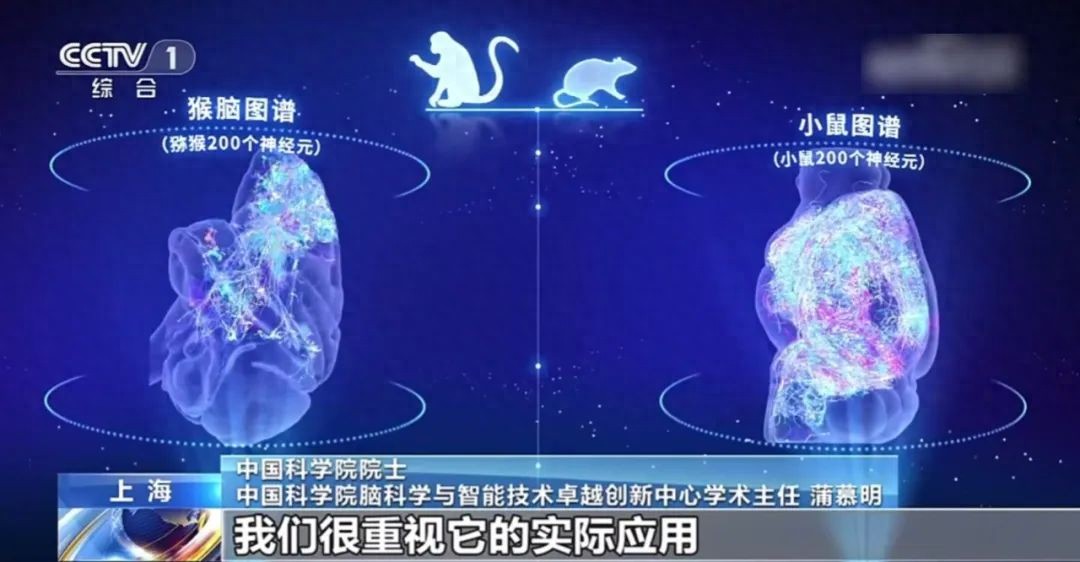 世界首次！我国再获突破性研究成果！