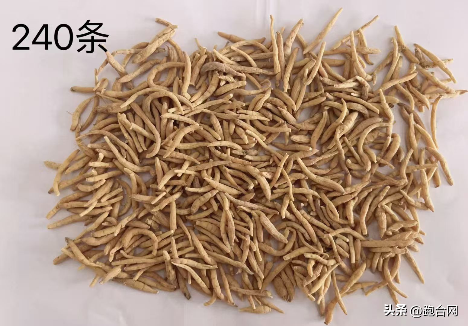 亳州药材行情分化