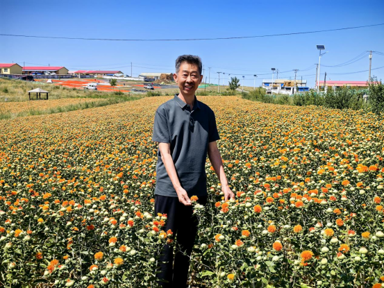 刘红卫专栏：中药饮片保质期新规解读与产业应对策略（上）