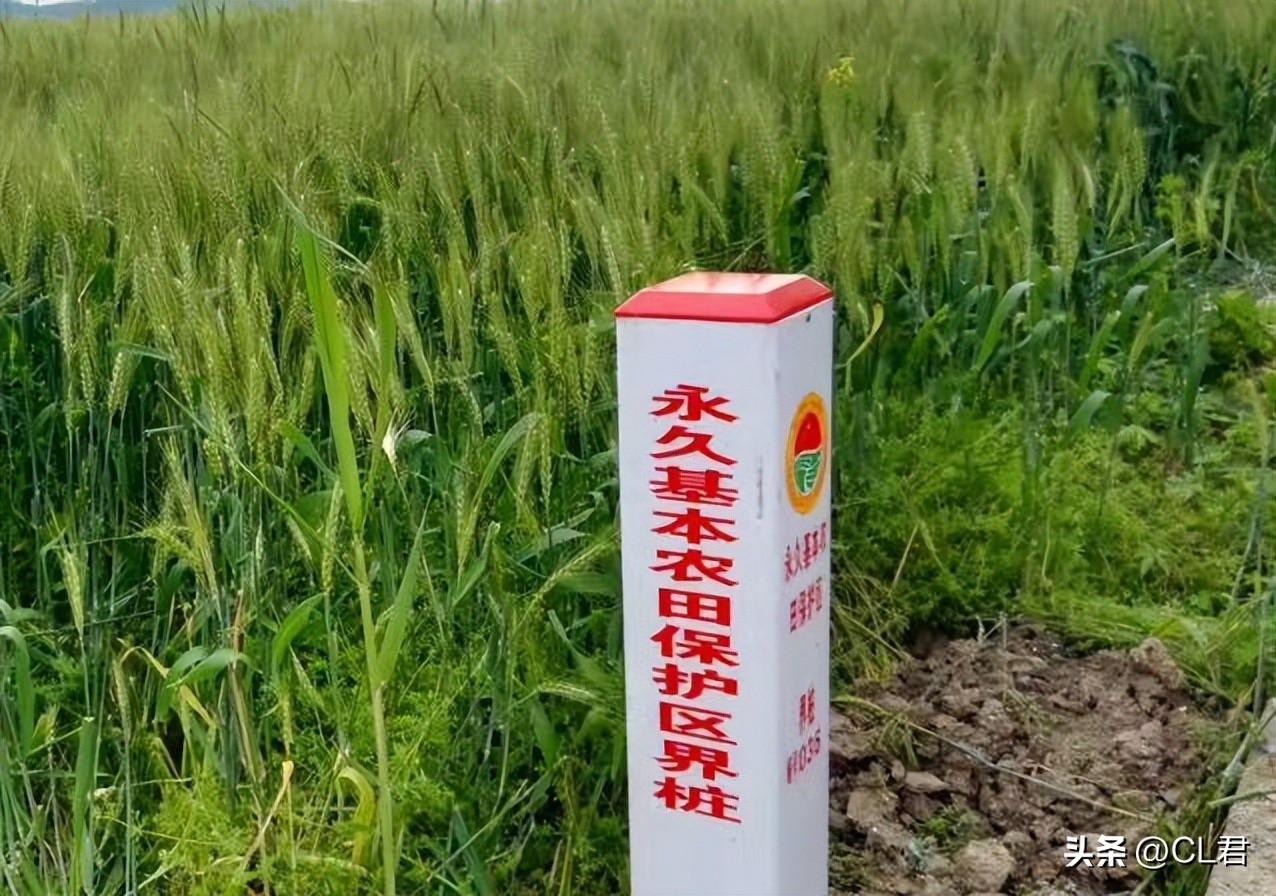中央定调：10月1日起，农村基本农田将迎来...