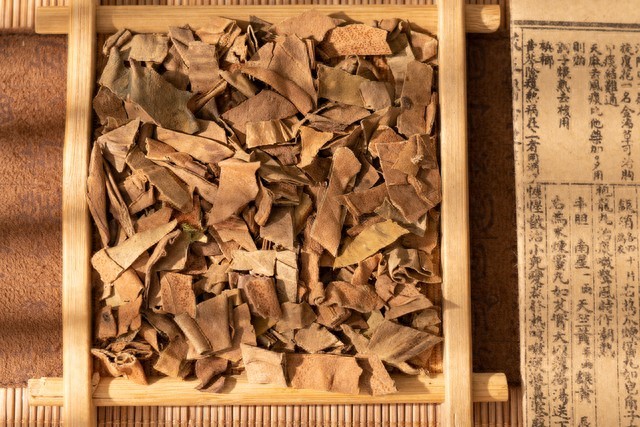 种植小叶石韦经济价值高