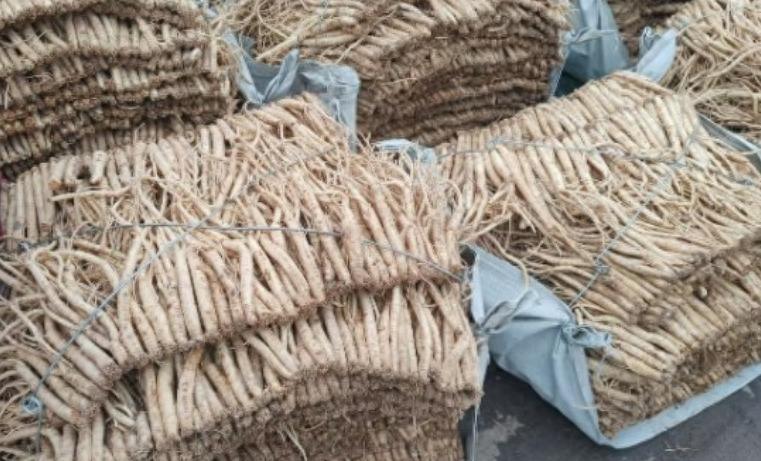 党参暴涨暴跌:价格“稳不住”了?