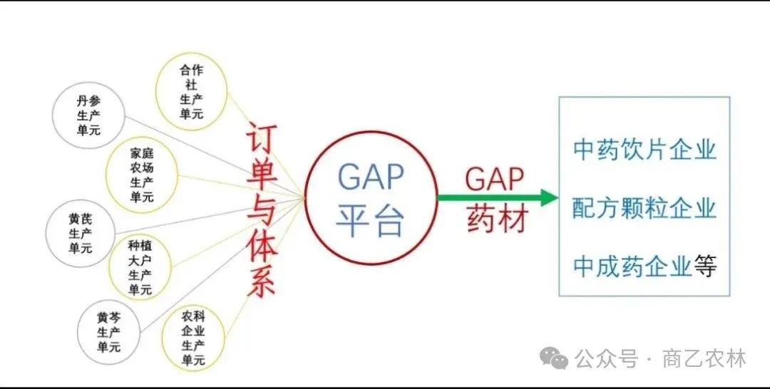 GAP药材生产平台才是行业破局唯一出路