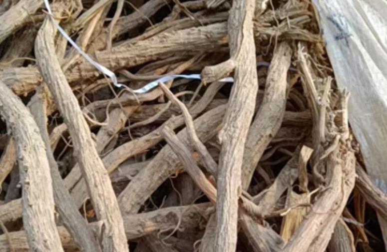 牛膝反弹：真行情？假噱头？