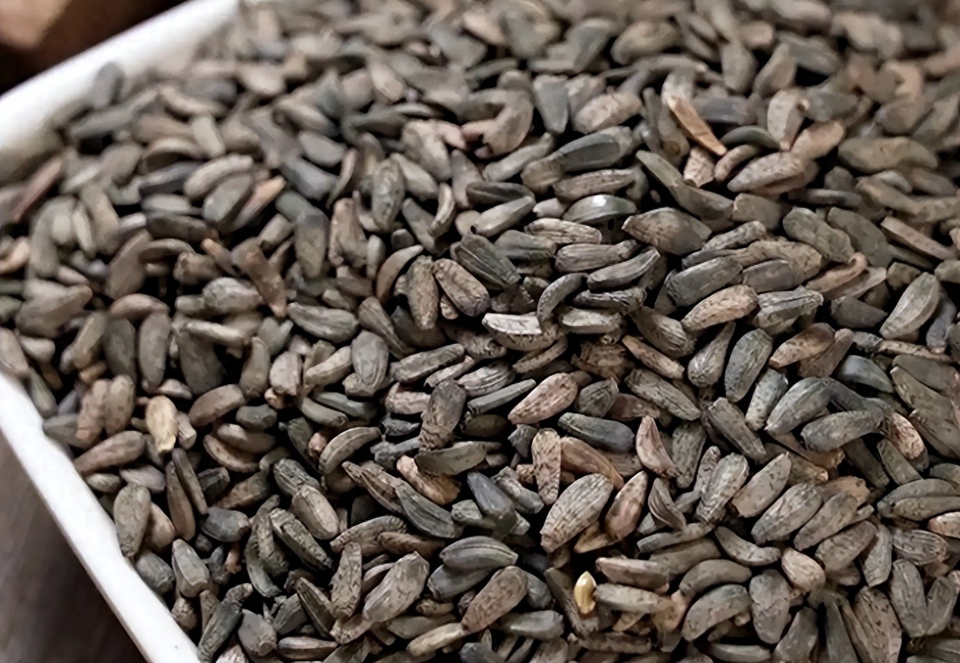 牛蒡子跌至低位现在囤货会不会是捡漏？