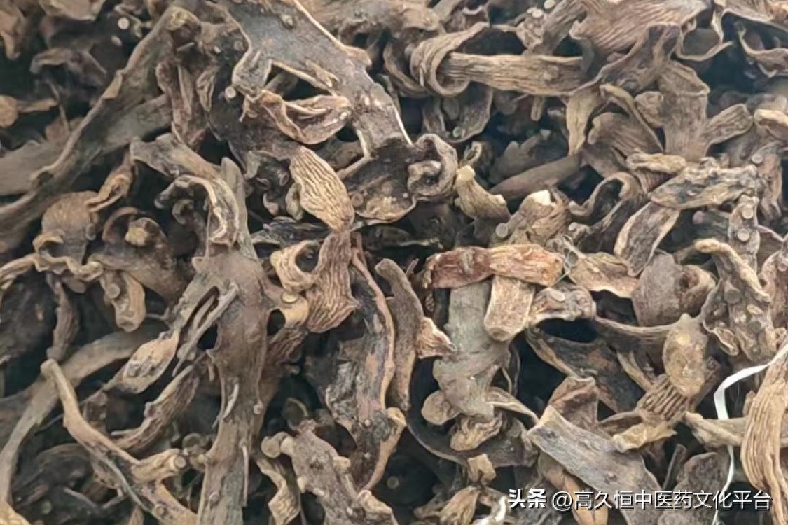 淡季涨价品种稀缺:中小品种成为市场关注焦点