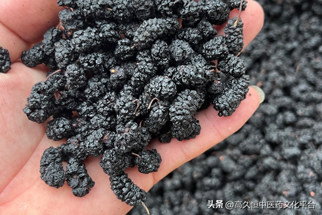 ​这几个药材又涨了！