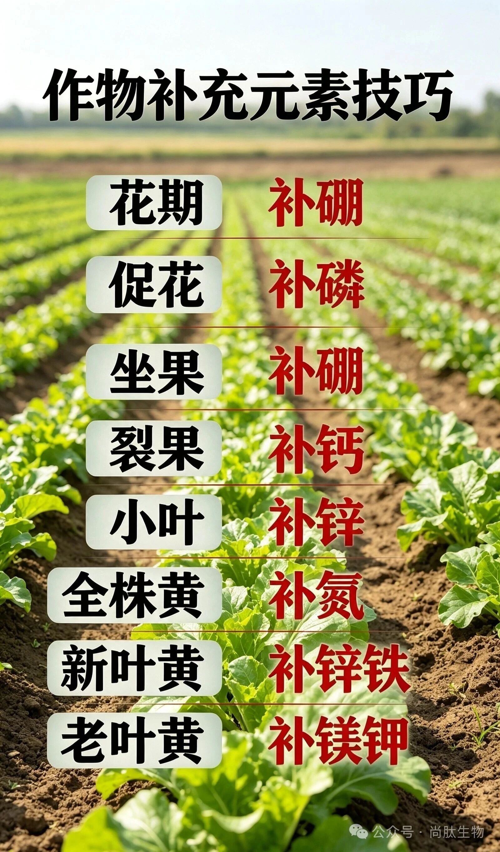 农作物补充微量元素图表