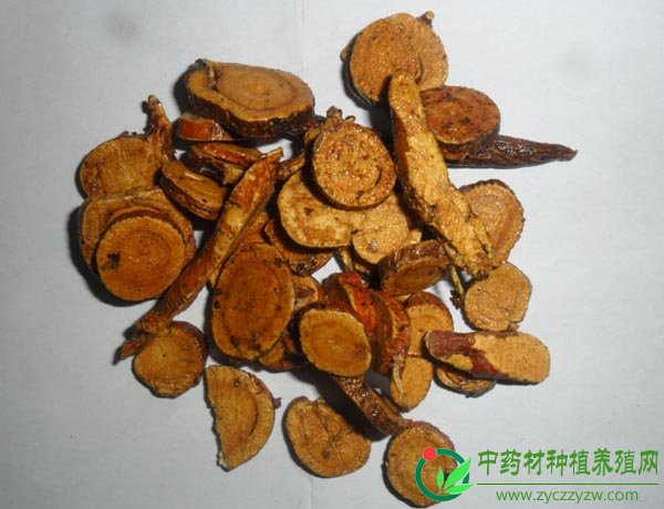 灸甘草