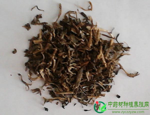 仙鹤草