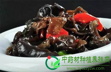 生活,功效