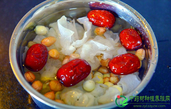 暖心肺的红枣银耳花生莲子养颜汤 - 手心至爱 - 你是我棒在手心的至爱