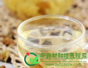 口臭怎么去除 五款中药茶还你清新口气