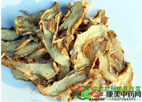 知母产新价涨，还能走多远？