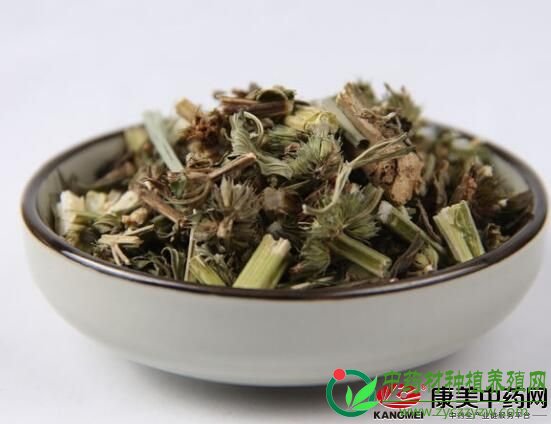 益母草：小品种存在大商机