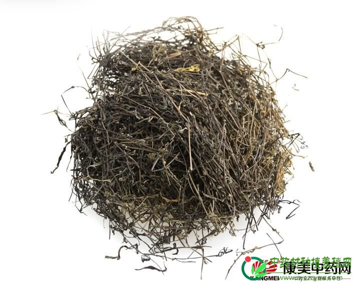 白花蛇舌草优质高产种植方法与生长适应条件