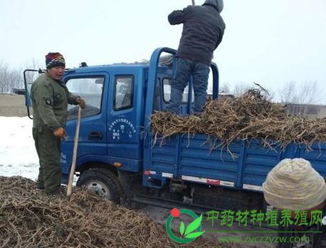 QQ截图20180109150913