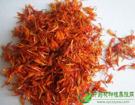 25种常见中药材种植的前景浅析