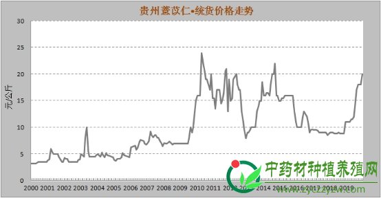 薏苡仁价格上涨之谜