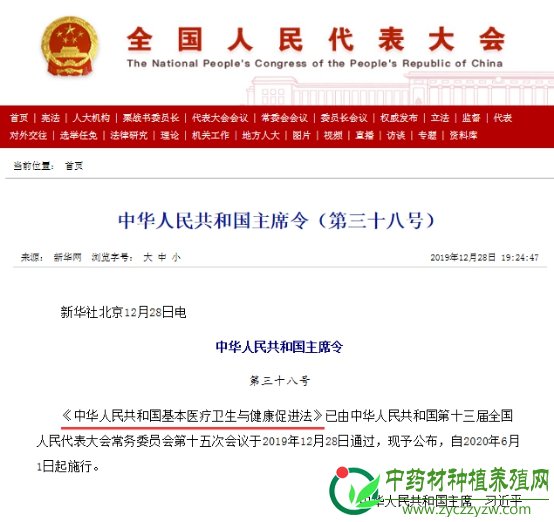 首部卫生健康“基本法”：中西并重，保障基层就医用药