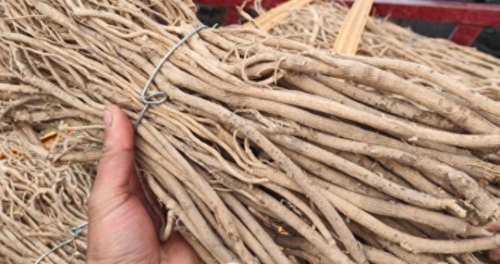 近期价格上涨和下跌的药材品种