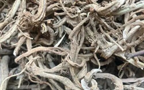 药材涨价潮再起：从地头到药柜，谁在牵动价格的神经？