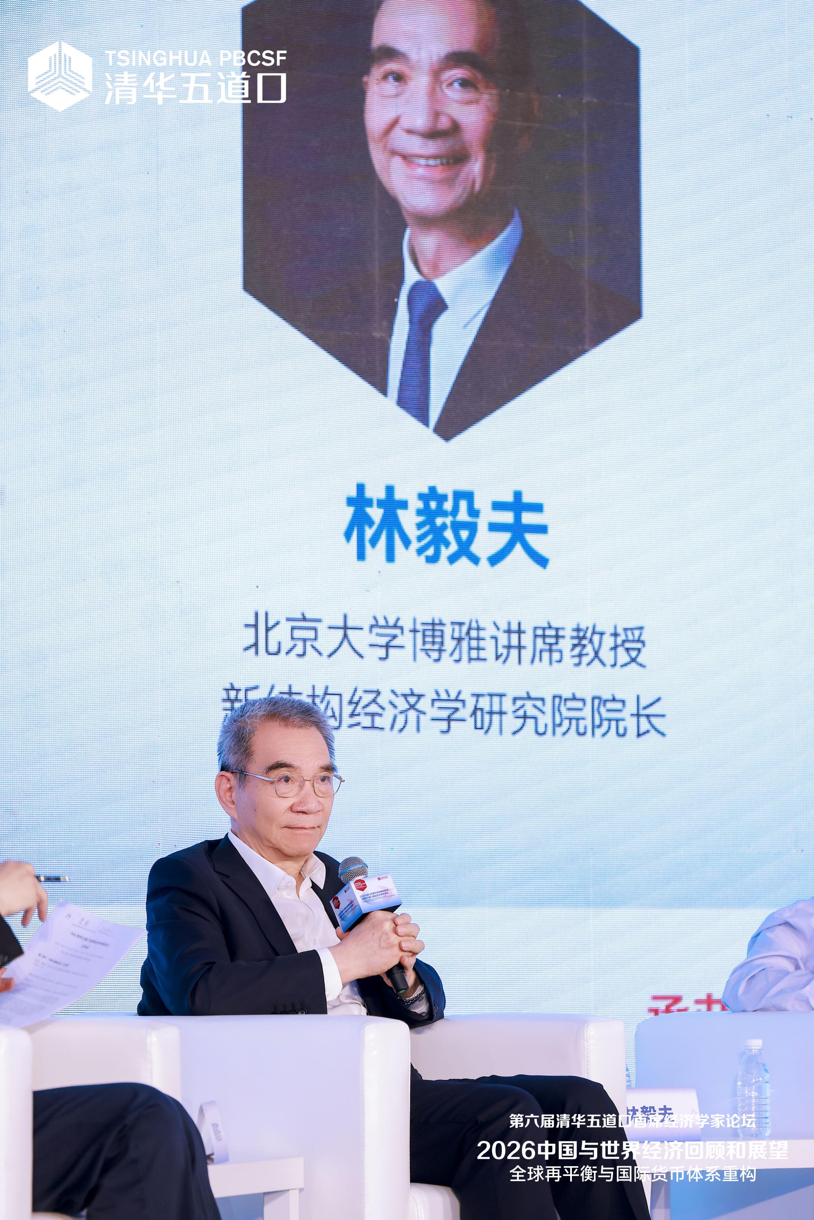 林毅夫李迅雷激辩投资消费，唯一共识为何指向中央加杠杆？
