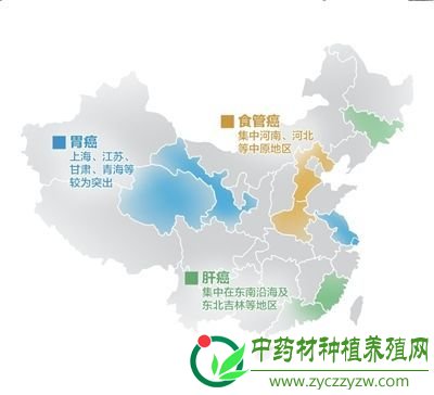 癌症发病地域分布特点 本报制图何将
