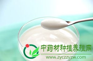 日本新研究发现多喝酸奶可提高人体免疫力