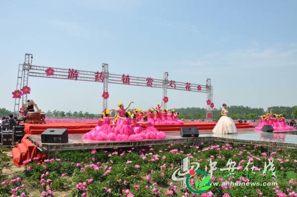 2014中国(亳州)首届芍花节开幕(图)