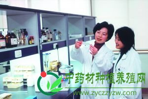 陈赛娟告诉早报记者，这种早幼粒白血病细胞里有一种促凝物质。
