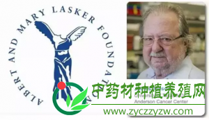 拉斯克奖得主：我对癌症免疫疗法有信心