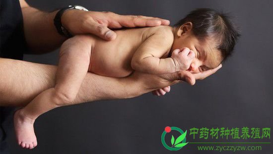 制造婴儿 不孕不育新疗法在争议中登场