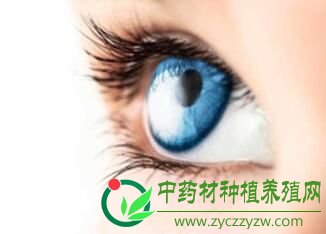 治愈白内障的眼药水 前景看好
